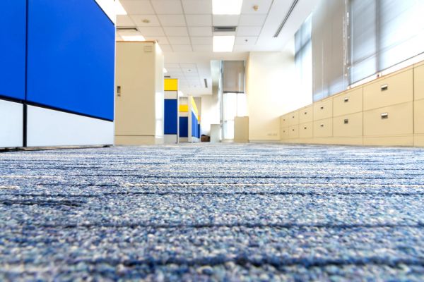 Business Carpet Cleaning in Salisbury