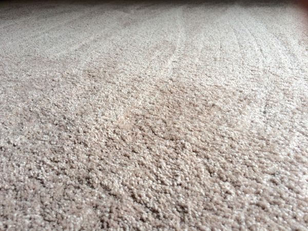 Plush Carpet Installation in Salisbury