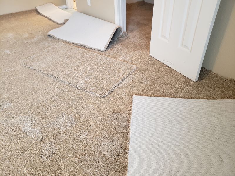 Carpet Underlay Replacement